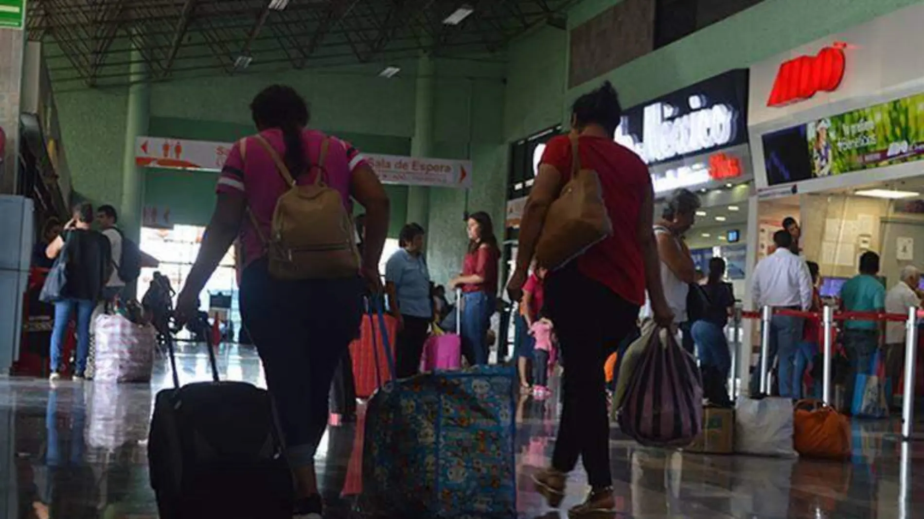 Se reportó a una persona apuñalada presuntamente por su pareja en la central camionera de Tampico Nudia Toscano (Archivo)